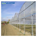 Hochwertiger Multi-Span-Plastikfilm Green House